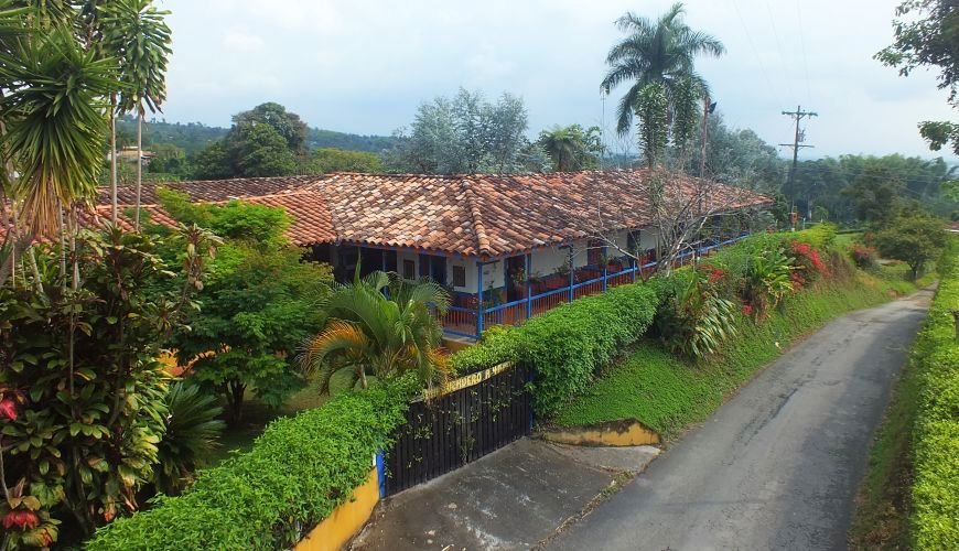 El Bosque del Samán Alcalá - Reallatino Tours