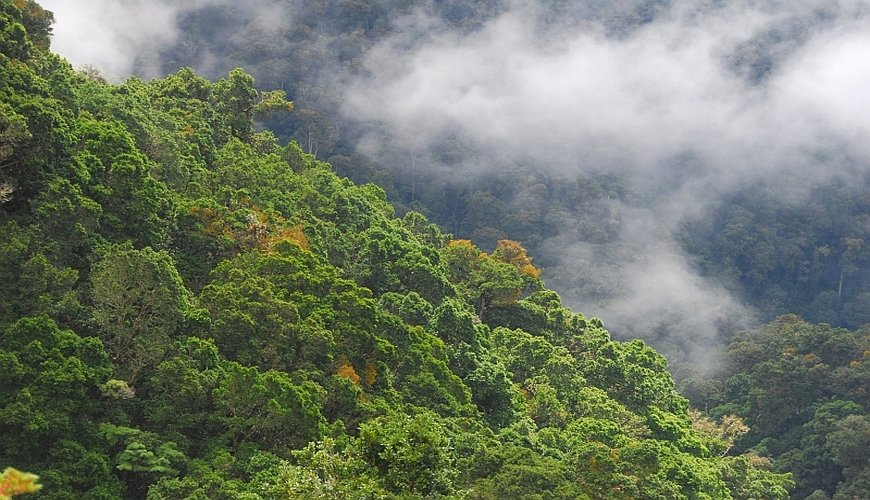 Costa Ricas Cordillera De Talamanca Als Reiseziel 2847