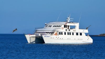 Galapagos Kreuzfahrt 8 Tage westliche Inseln