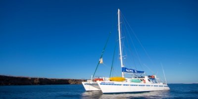 Galapagos Kreuzfahrt Südostroute 5 Tage