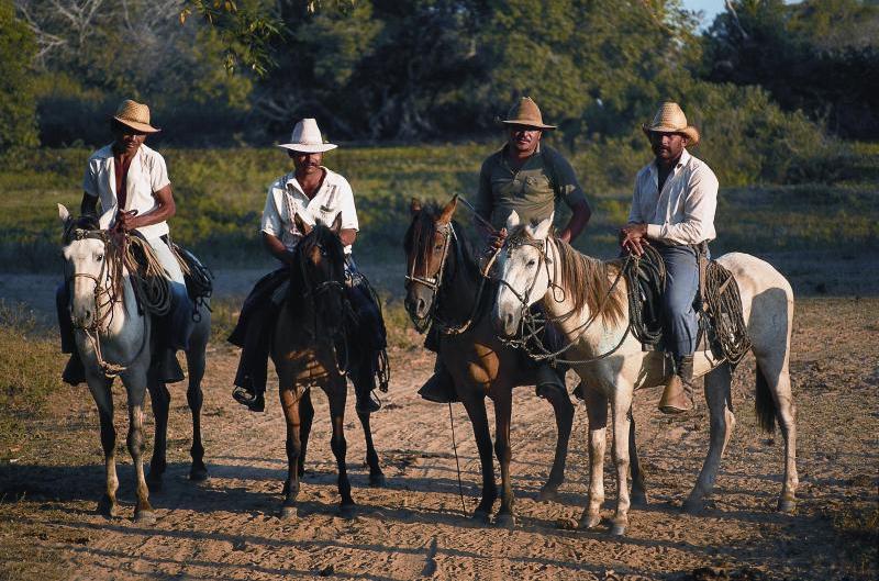 Was Die Llanos Von Venezuela So Besonders Macht