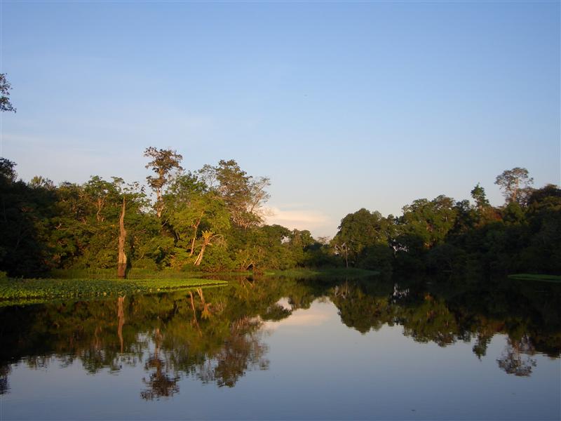 Amazonas, Manaus, Brasilien